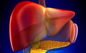 Liver Health 101: Tips for Keeping Your Liver in Top Shape